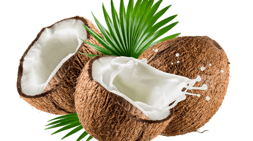 Coconut_Milk