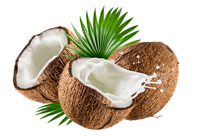 Coconut_Milk